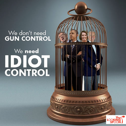 idiot-control
